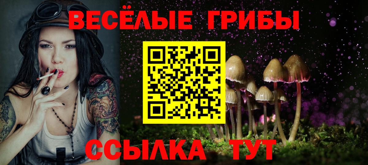 Черногорск  Псилоцибиновые грибы Psilocybe  Вход с VPN  как найти закладки  Псилоцибиновые грибы мухоморы 